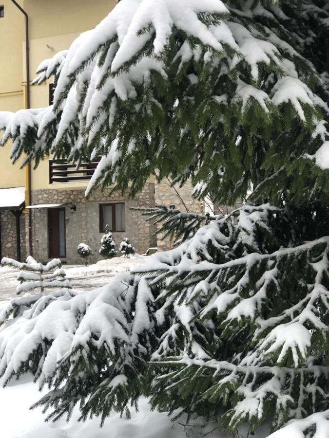 Apartament Nicolle Lejlighed Poiana Brasov Eksteriør billede